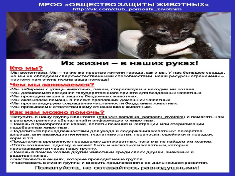 МРОО «ОБЩЕСТВО ЗАЩИТЫ ЖИВОТНЫХ»  http://vk.com/club_pomoshi_zivotnim Их жизни – в наших руках! Чем мы